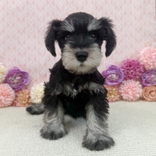 かねだい四街道店ブログ