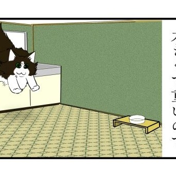 【猫との暮らし】古い木造住宅、猫のいる暮らし