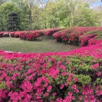 ちぃこの日日是好日