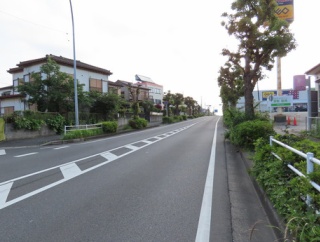 久しぶりの散歩道