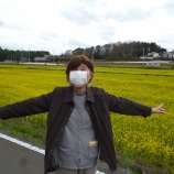 『お花見🌸』の画像