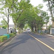 宮川けやき通りの坂道／芦屋市岩園町 : 東京坂道さんぽ
