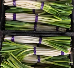 3/28（土）営業します