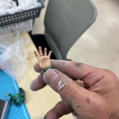 ��ǯ���ĥ��ޤ���