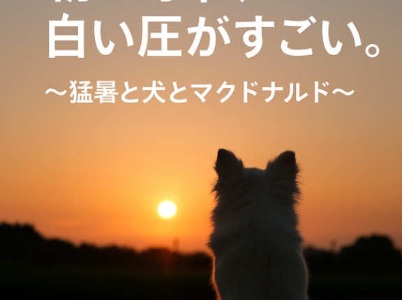 朝4時半、白犬の圧がすごい。〜猛暑と犬とマクドナルド〜