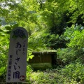 ハイキング