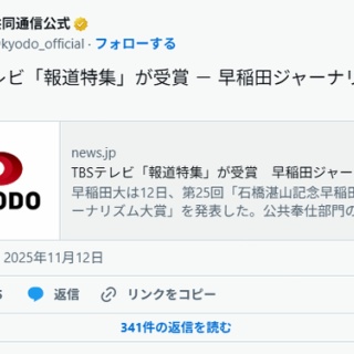 痛いニュース(ﾉ∀`)