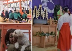 初詣