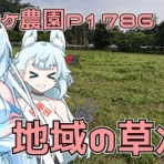 Next days ~ マイペース農業