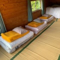 九重山系アセビ小屋