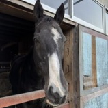 『再会』の画像