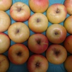 IDDM  58歳、ある日突然１型糖尿病になりました。が…