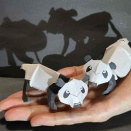 シャオシャオとレイレイ双子のパンダ