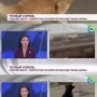 【動画】ロシアのニュース番組に乱入した犬がマイクを奪って逃げる事件が発生ｗｗｗｗｗｗｗ