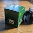 トポを２階に呼び寄せる方法！