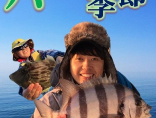 ハスの季節／越冬アマダイ