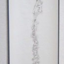 拓本幅の事例(虚子の句碑)