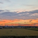 熊トレ318 Aug.23,2026【マクリの女王】