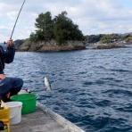 ゆこぶーの食いしん坊万歳