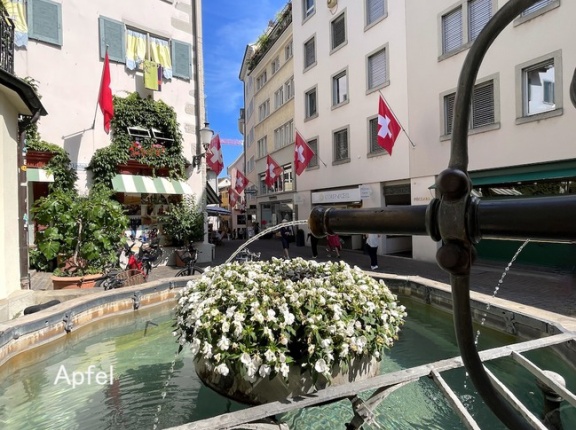 日本の番組でスイスの特集が放送中🇨🇭