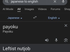 【朗報】英語圏、日本語『パヨク』を固有名詞に指定へ。 「これからはPAYOKUを使おう」 世界中のネット民が“左翼の狂人”を指差して笑う、新時代の幕開け