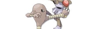 ポケモンのダブルバトルならこれ使っとけってポケモン