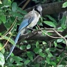 2025年9月21日の野鳥公園