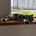 銀誠ちゃん、ひさしぶり