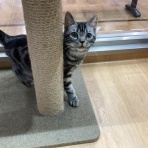 群馬県伊勢崎市　ワンラブ　カインズ伊勢崎店ブログ