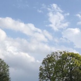 『シーツと布団カバーの洗うタイミングを変えたらちょっとだけストレスフリーに』の画像