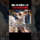 ２０２６年４月８日　作業報告