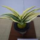 2024年　全国大会から（36）