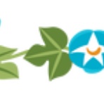 薔薇の香りに誘われて