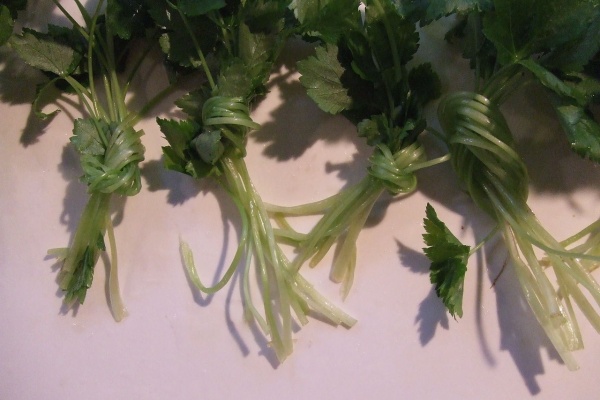 ぼくのセカンドライフ 12年03月