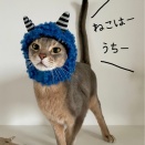 わが家のニャンズの節分鬼さんコレクション