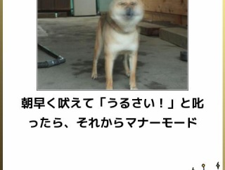 【爆笑スレ】最高傑作の面白画像を貼っていけ