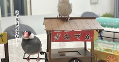 小物に慣れようキャンペーン実施中
