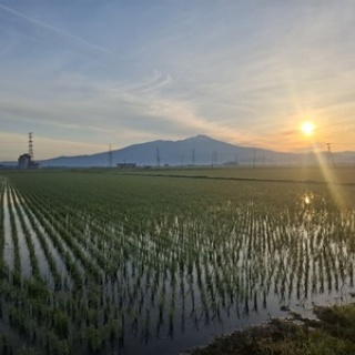 鳥海の麓 「北村くらた農園」より愛を米て。　