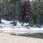 シャスタ便り！