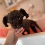 ティアハイムさいたま公式ブログ