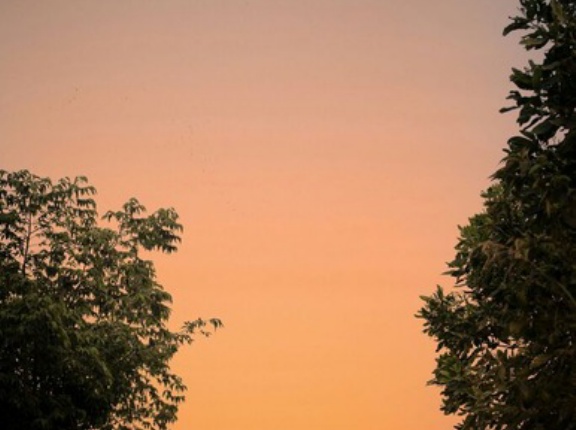 ランニング毎回10km走るんだがその度に体ボロボロになって1～2日はしんどいしたまに風邪ひく