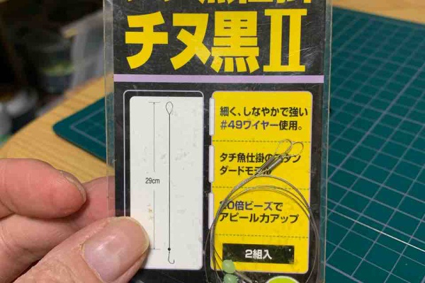 広島タチウオ釣り