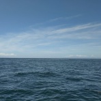 今日の海楽園blog