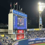 全国ツバメ軍団日誌！