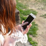日本のネット民度がここまで落ちた理由って何？ 	