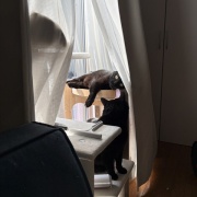 苦しそうな体勢で寝るアヤちゃん