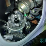 フィッシング羽響天