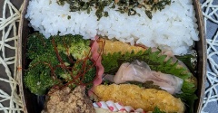 揚げ物×２だとは気が付きませんでした～夫のお弁当699