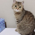 グルメで、何でも美味しそうに食べる彼氏。その土地の名物料理を食べに行った時、「美味しいねっ」と彼が満面の笑みを向けた。そのうち自分がやられると思って別れた。