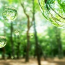 夏も近づく八十八夜！日本の宝・緑茶で、大人の美肌と健やかな体を